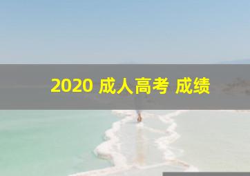 2020 成人高考 成绩